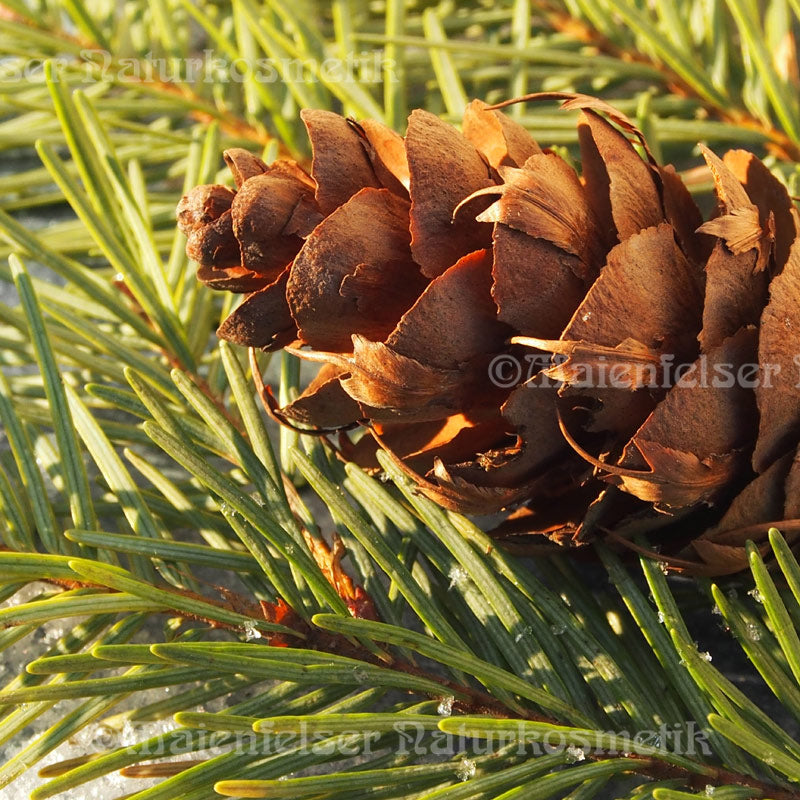 Douglasie BIO (3 ml)