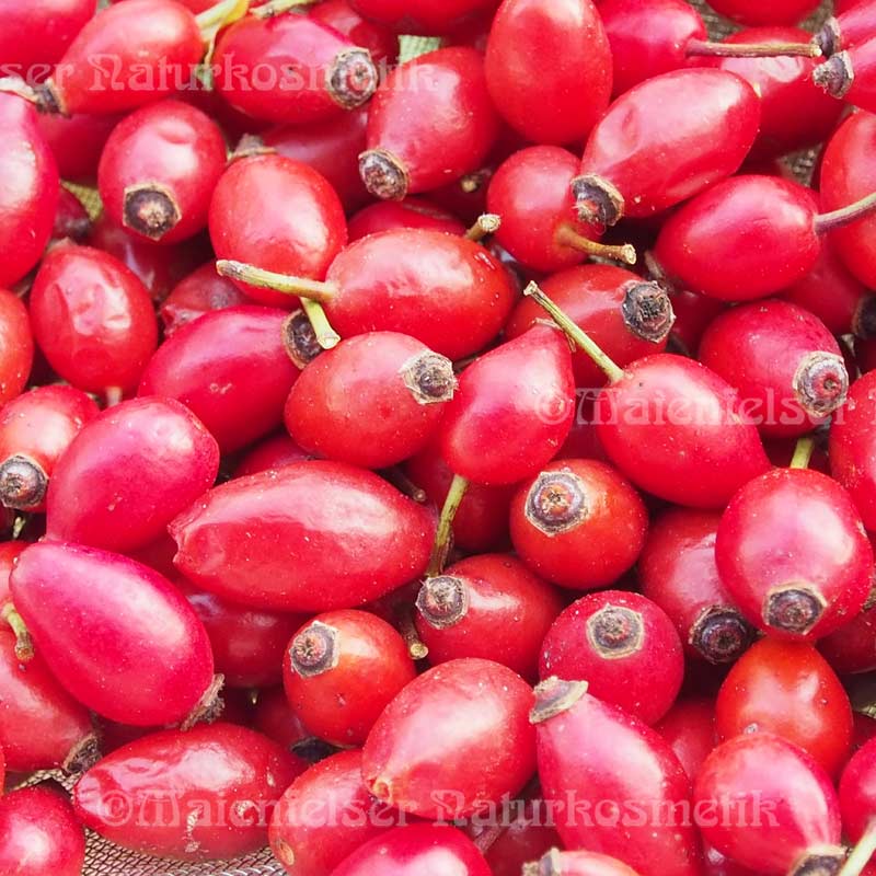 Organic CO2 Rose Oil - Rosehip Seed Extract