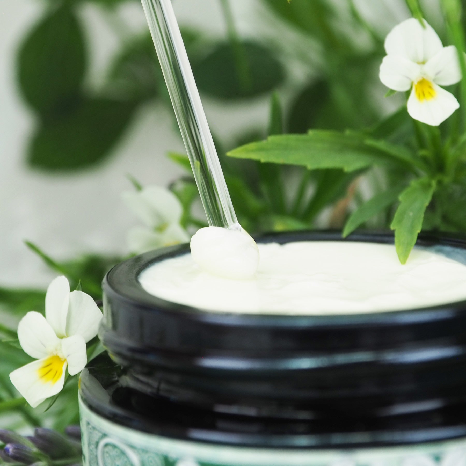 Stiefmütterchen Creme