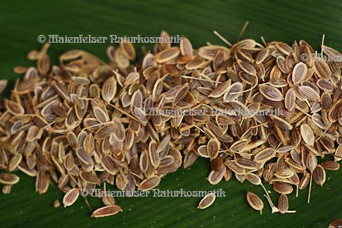 Dillsamen (10 ml)