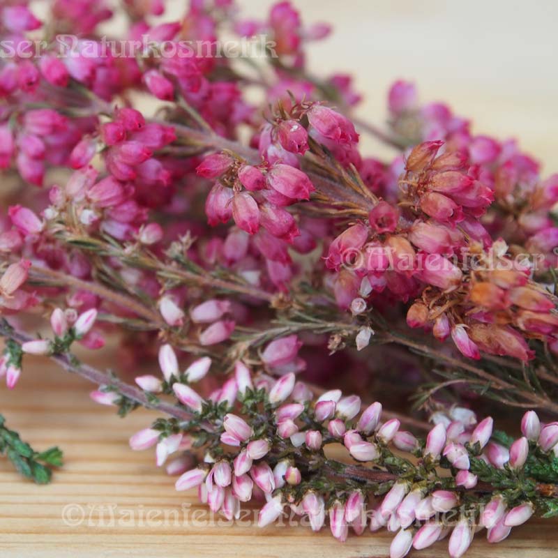 Heidekraut abs. (mit Alkohol) (2 ml)