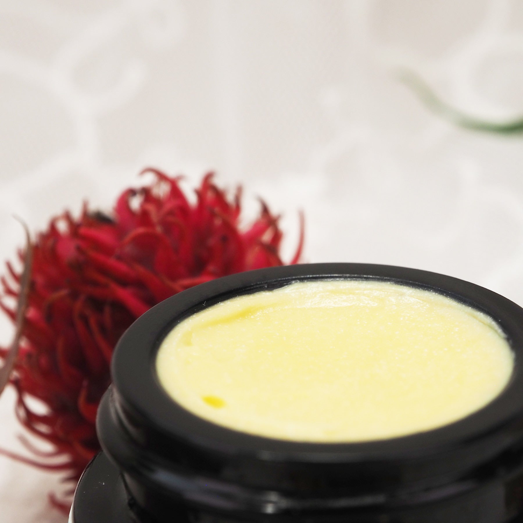 Geöffneter 7ml Neutral Creme Tiegel. Nahaufnahme.